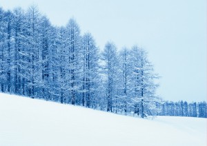 冬山3